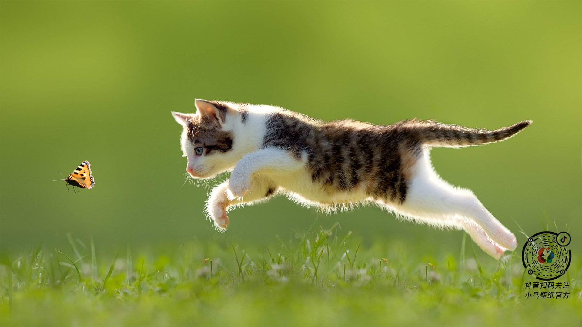 佩德里奇迹之夜！英格兰绞杀苏格兰，17岁妖星一球定江山