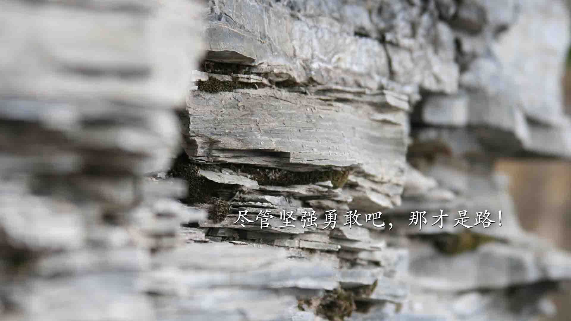 残局·官子·神之一手，努涅斯如何在一秒内折叠了世界的排名