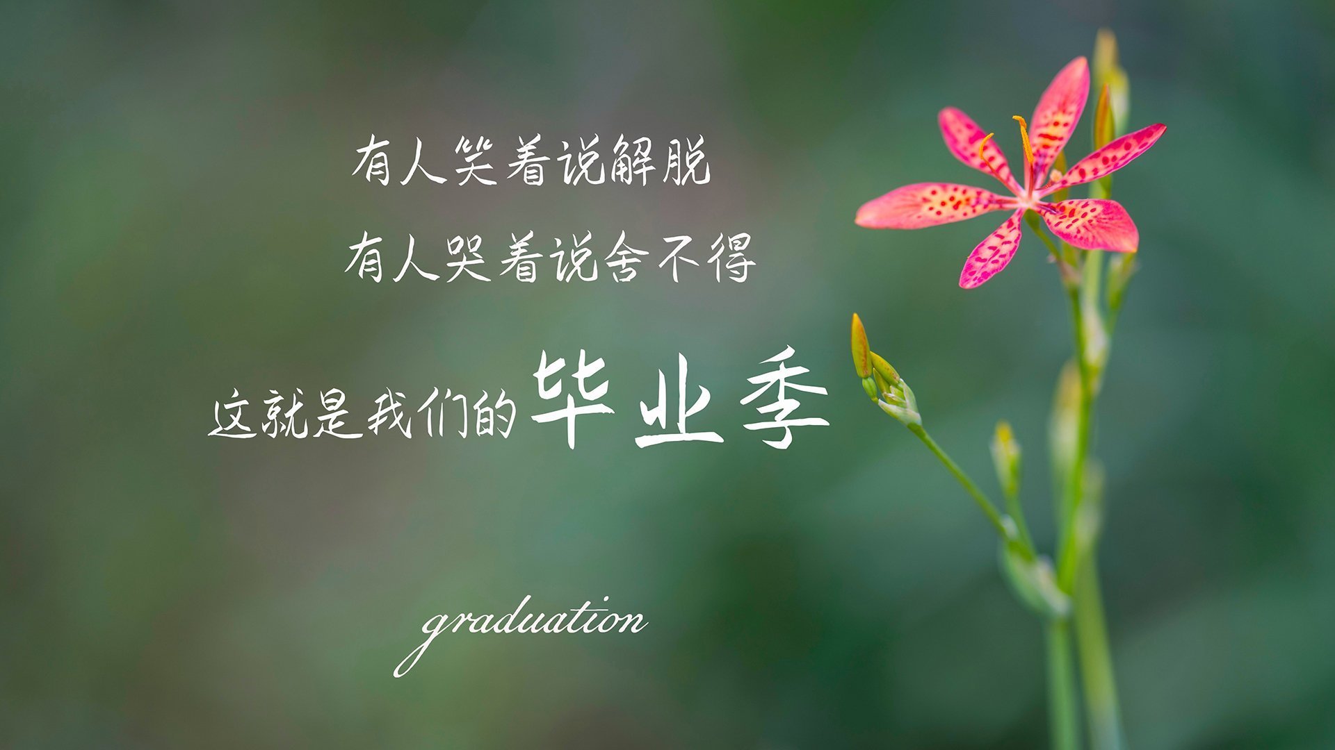 关键先生与战术铁锤,阿圭罗的绝杀艺术与拉齐奥的瑞士压制