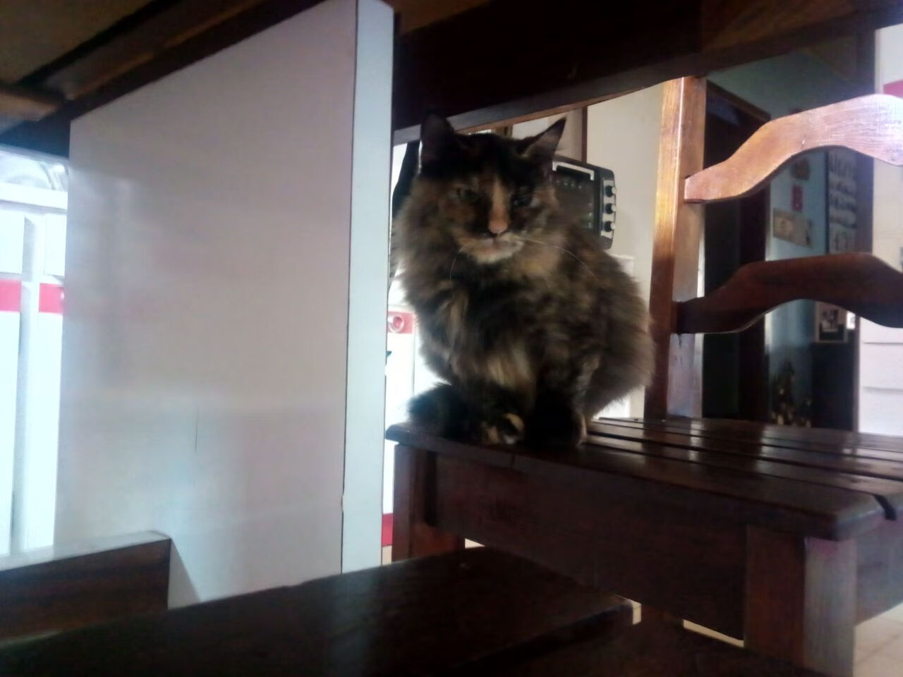 唯一之战，乔治爆发，快船提前终结新疆队悬念