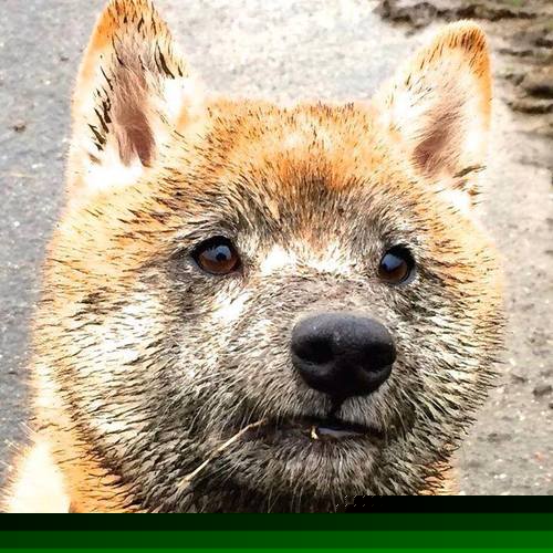 摩洛哥鏖战中国，卡拉斯科用一束火焰，映照出绿茵的辩证寓言