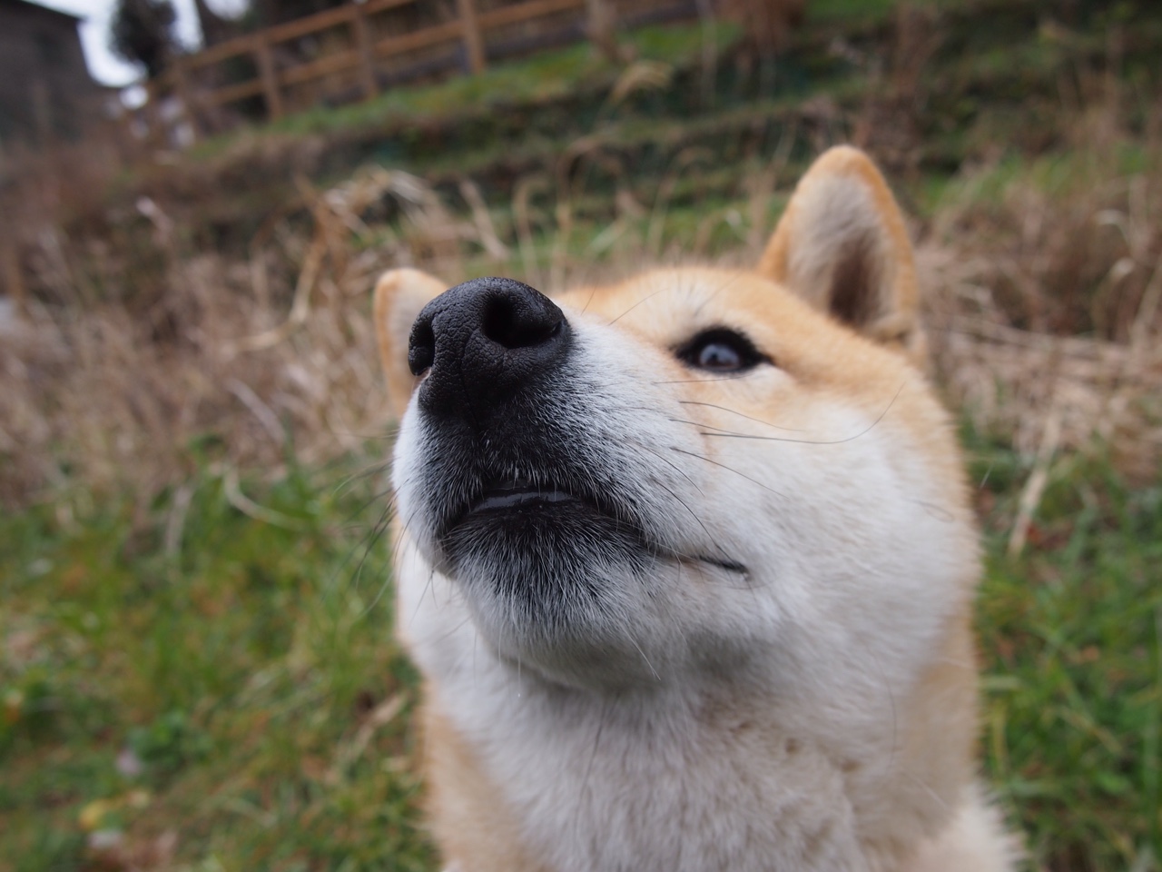 西决生死战之夜，从不抢走月亮的卡瓦哈尔，却铺就了星光之路
