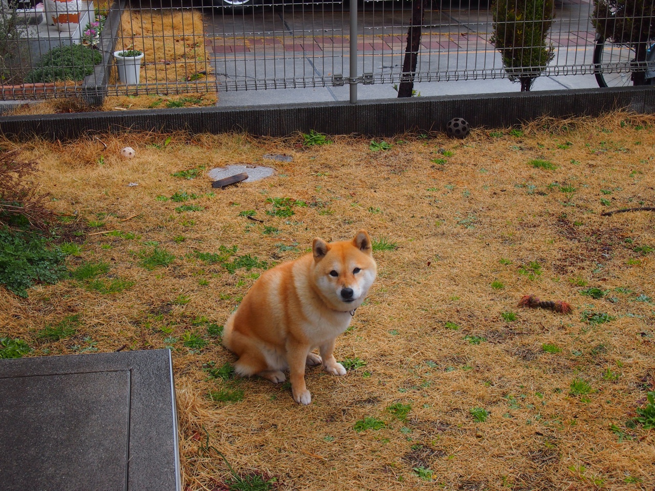 极速对决，浙江队排位赛战术击溃快船，上演篮球版巴林揭幕战