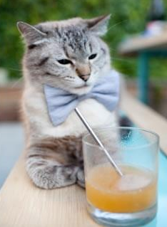 逆袭之夜，里昂三球击溃阿根廷，拉什福德单骑救主