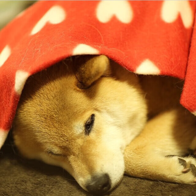 加勒比海风暴席卷东欧，战术变色龙穆勒导演闪电战，洪都拉斯三剑封喉乌克兰