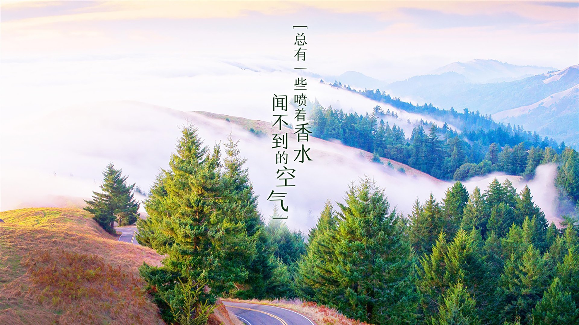 跨界巅峰战，时空裂隙中的雄鹿vs辽宁，东契奇如何成为唯一胜负手？
