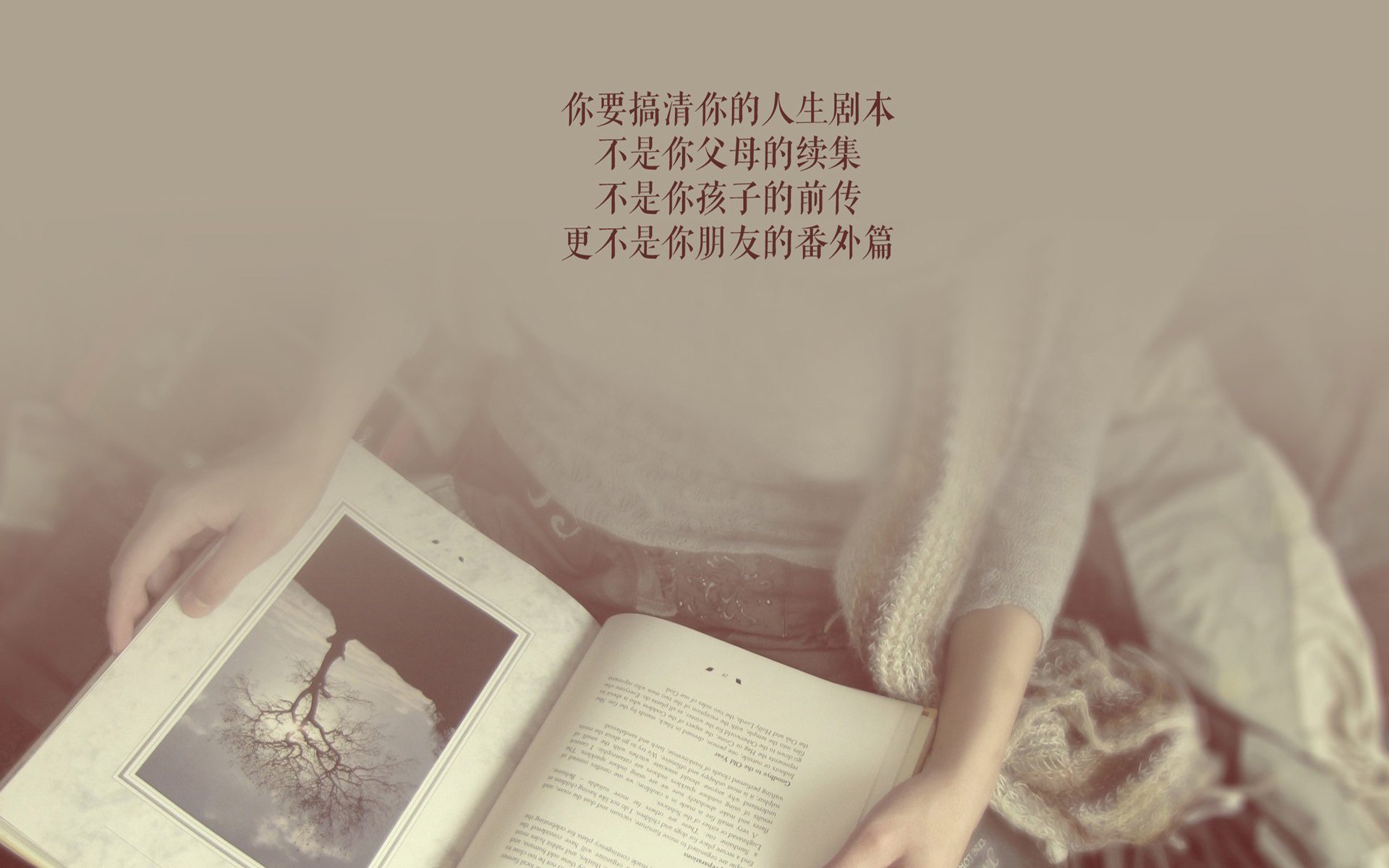 迦太基的钢铁荆棘，努涅斯刺穿高原，突尼斯用一场非典型胜利定义2026世界杯G组