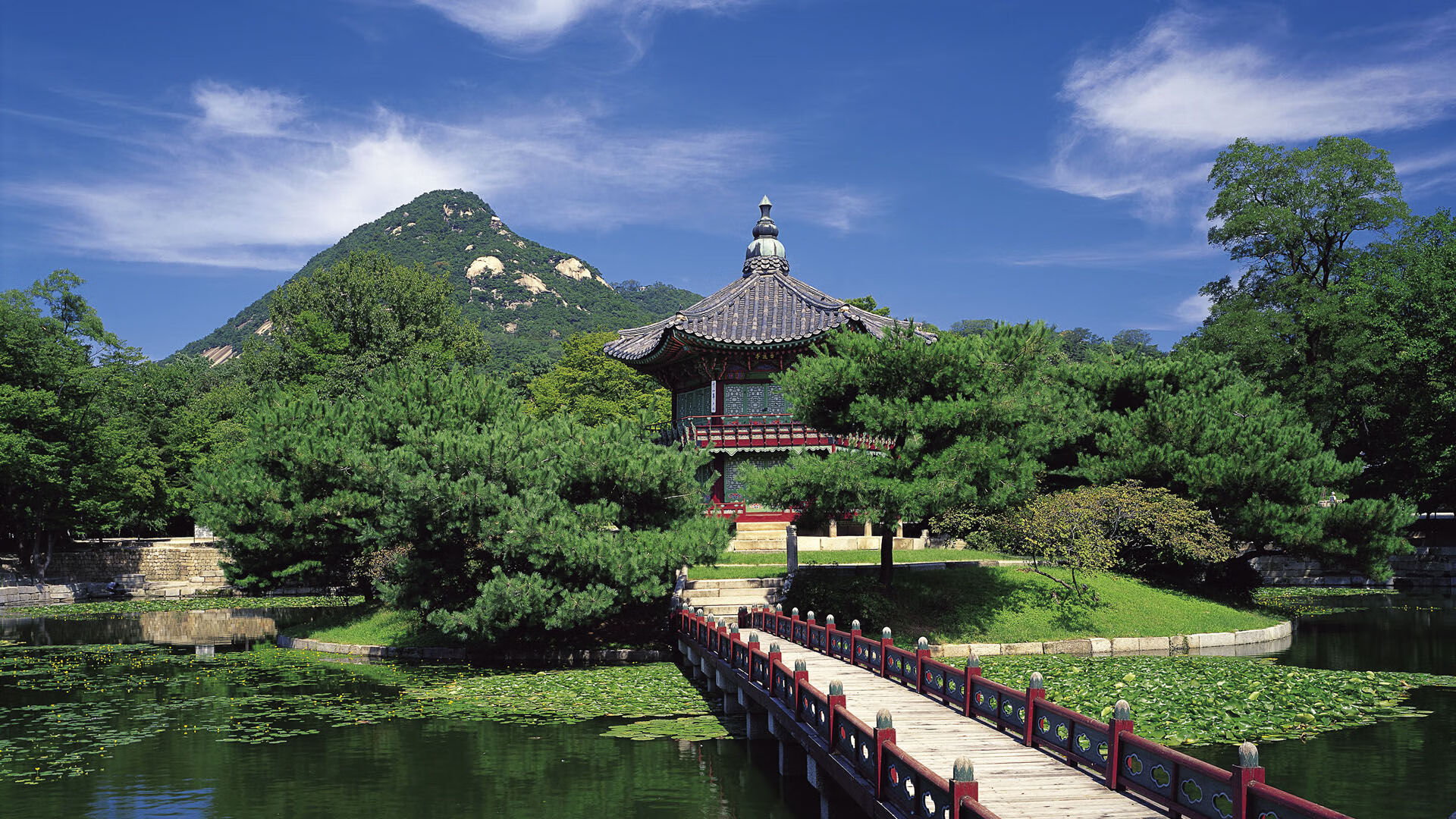 北欧铁骑踏破沙漠幻影,瑞典三球完胜沙特,莱万防反神阵书写2026世界杯黑马死亡笔记